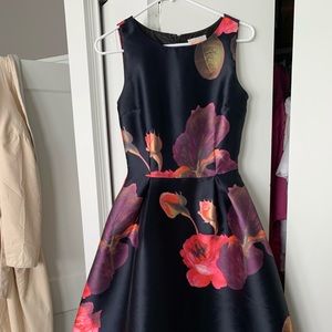 Gorgeous Black and Floral A-Line Dress